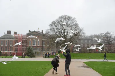 DSC_6217 (Large).JPG